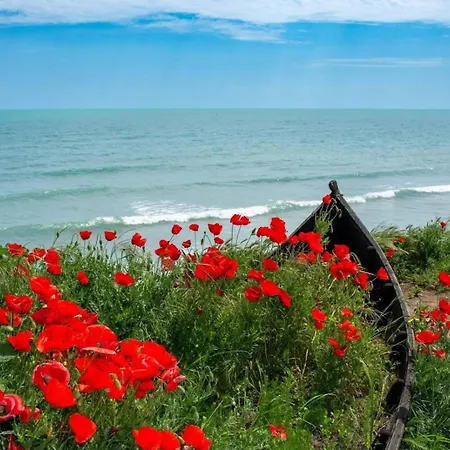 Senses By Popdan Hotel Vama Veche